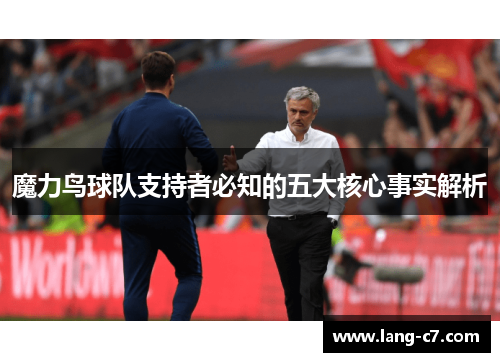 魔力鸟球队支持者必知的五大核心事实解析