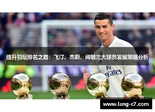 提升羽坛排名之路：飞汀、杰蔚、阀敏三大球员发展策略分析